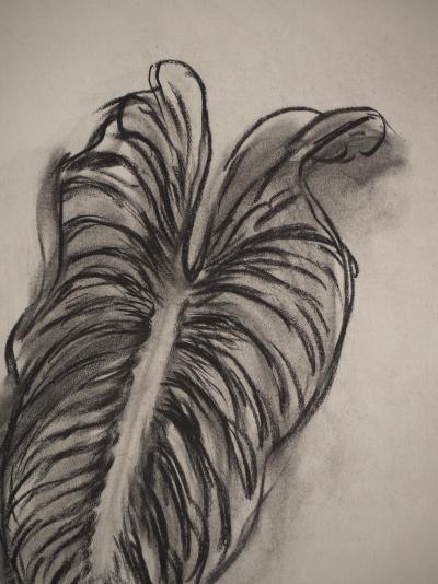 Henri MATISSE: Study of a leaf, Signed lithograph 2