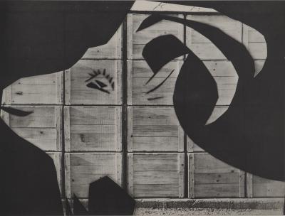 Pablo PICASSO : Diurnes, La chèvre à la caisse d’emballage, Phototypie originale 2