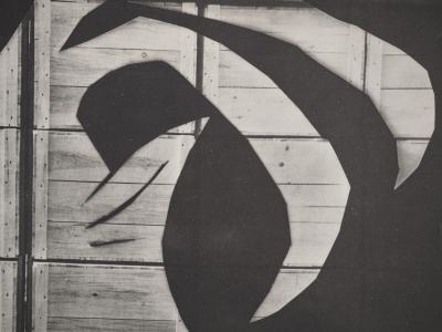 Pablo PICASSO : Diurnes, La chèvre à la caisse d’emballage, Phototypie originale 2