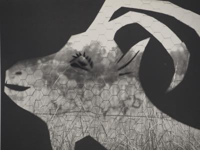 Pablo PICASSO: Daytime, The Goat at the Fence, Original Phototype 2