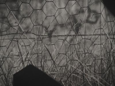 Pablo PICASSO: Daytime, The Goat at the Fence, Original Phototype 2