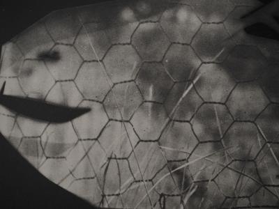 Pablo PICASSO: Daytime, The Goat at the Fence, Original Phototype 2