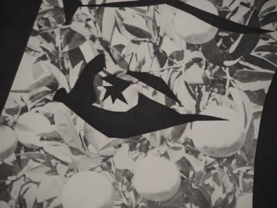 Pablo PICASSO : Diurnes, Jacqueline aux fruits, Phototypie originale 2