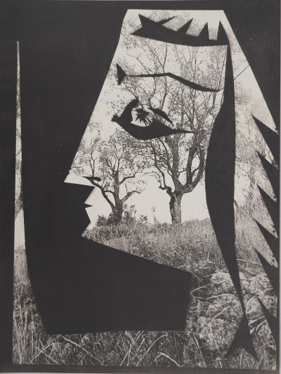 Pablo PICASSO : Diurnes, Jacqueline aux arbres, Phototypie originale 2