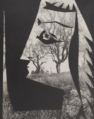Pablo PICASSO : Diurnes, Jacqueline aux arbres, Phototypie originale 2
