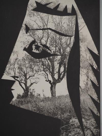 Pablo PICASSO : Diurnes, Jacqueline aux arbres, Phototypie originale 2