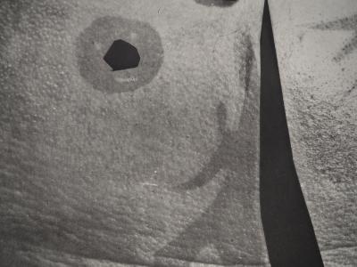 Pablo PICASSO : Diurnes, L’esprit critique d’art, Phototypie originale 2