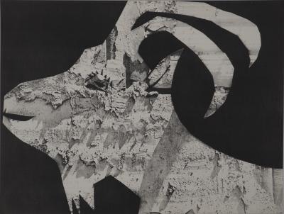 Pablo PICASSO : Diurnes, La chèvre aux gravois, Phototypie originale 2