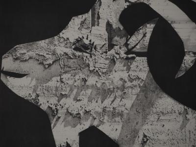 Pablo PICASSO : Diurnes, La chèvre aux gravois, Phototypie originale 2