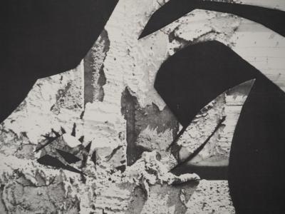 Pablo PICASSO : Diurnes, La chèvre aux gravois, Phototypie originale 2