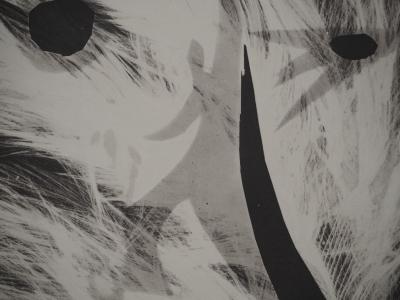 Pablo PICASSO : Diurnes, Le garou, Phototypie originale 2