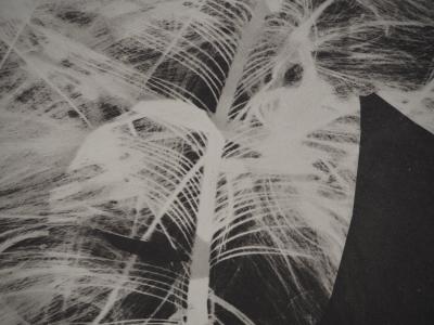 Pablo PICASSO : Diurnes, Le garou, Phototypie originale 2