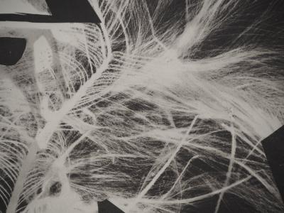 Pablo PICASSO : Diurnes, Le garou, Phototypie originale 2