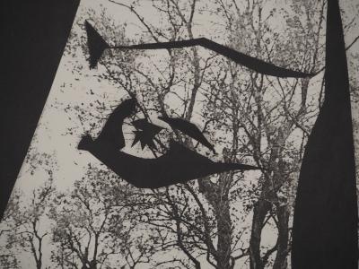Pablo PICASSO : Diurnes, Jacqueline aux arbres, Phototypie originale 2