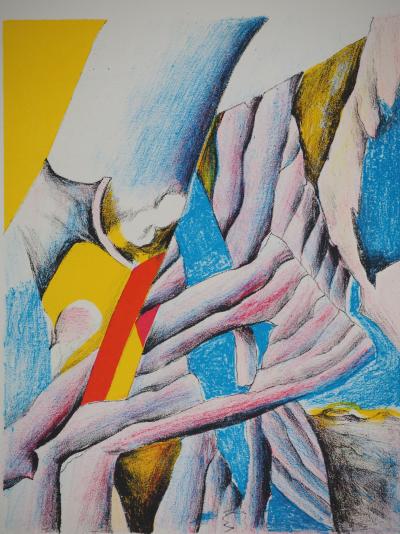 Theo GERBER : Composition naturelle abstraite, Lithographie originale 2