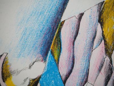 Theo GERBER : Composition naturelle abstraite, Lithographie originale 2