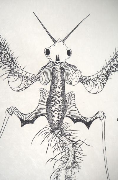 Félix LABISSE : L'angelot, Lithographie originale, signée 2
