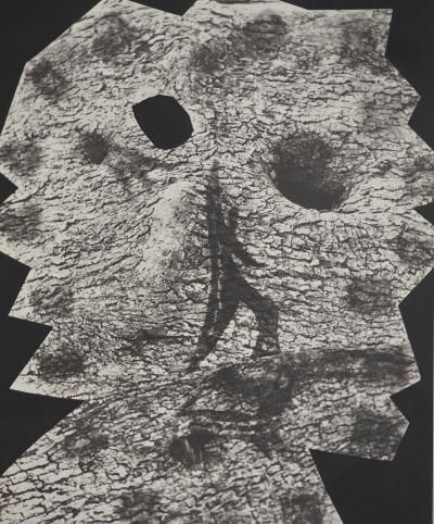 Pablo PICASSO : Diurnes, Le plus profond silence, Phototypie originale 2