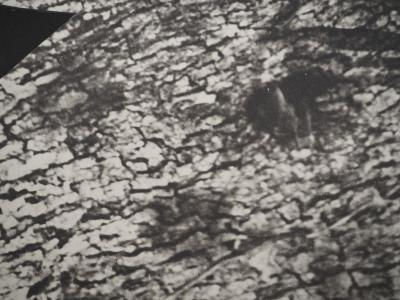Pablo PICASSO : Diurnes, Le plus profond silence, Phototypie originale 2
