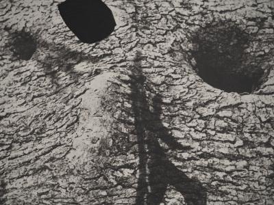 Pablo PICASSO : Diurnes, Le plus profond silence, Phototypie originale 2