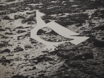 Pablo PICASSO: Diurnes, Woman by the Sea, Original Phototype 2