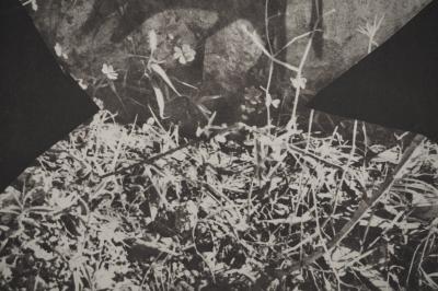 Pablo PICASSO : Diurnes, Un général, Phototypie originale 2