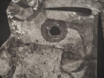 Pablo PICASSO : Diurnes, Un général, Phototypie originale 2