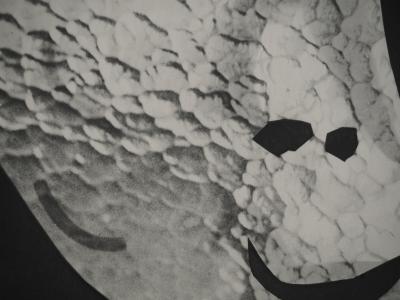 Pablo PICASSO : Diurnes, Urbi, Phototypie originale 2