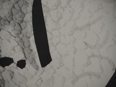 Pablo PICASSO : Diurnes, Urbi, Phototypie originale 2