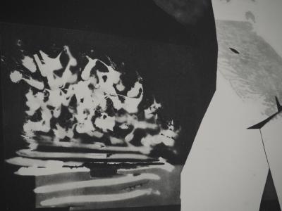 Pablo PICASSO : Diurnes, L’homme à l’oiseau, Phototypie originale 2