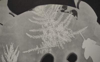 Pablo PICASSO : Diurnes, Torbi, Phototypie originale 2