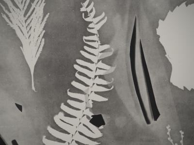 Pablo PICASSO : Diurnes, Torbi, Phototypie originale 2