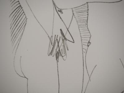 Pablo PICASSO : Le Goût du Bonheur, Les amoureux, Lithographie 2