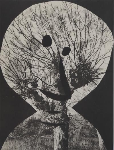 Pablo PICASSO : Diurnes, Le corrigan effeuillé, Phototypie originale 2
