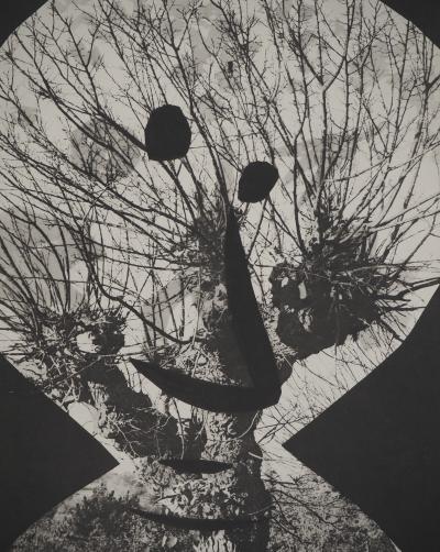 Pablo PICASSO : Diurnes, Le corrigan effeuillé, Phototypie originale 2