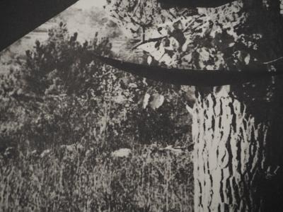 Pablo PICASSO : Diurnes, Le corrigan effeuillé, Phototypie originale 2