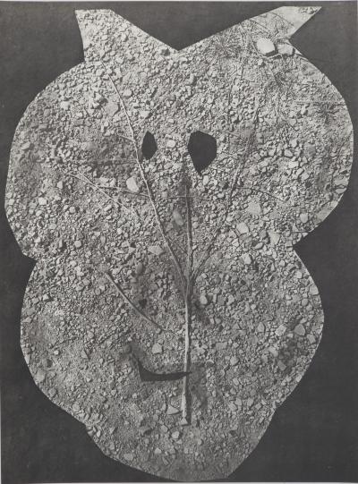 Pablo PICASSO : Diurnes, Nunc, Phototypie originale 2