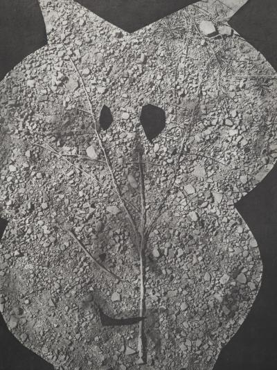 Pablo PICASSO : Diurnes, Nunc, Phototypie originale 2