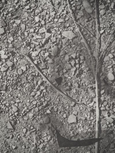 Pablo PICASSO : Diurnes, Nunc, Phototypie originale 2