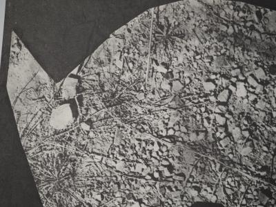 Pablo PICASSO : Diurnes, Nunc, Phototypie originale 2