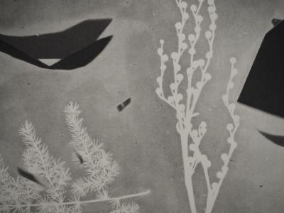 Pablo PICASSO : Diurnes, Torbi, Phototypie originale 2