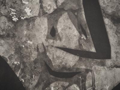 Pablo PICASSO : Diurnes, Un général, Phototypie originale 2