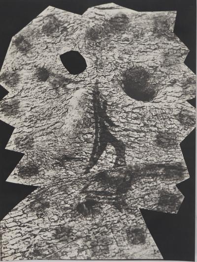 Pablo PICASSO : Diurnes, Le plus profond silence, Phototypie originale 2