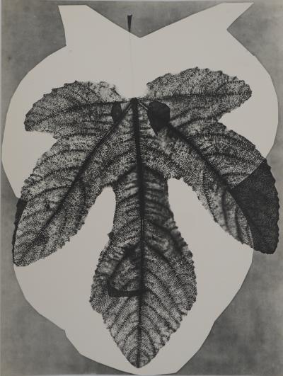 Pablo PICASSO : Diurnes, Midas, Phototypie originale 2