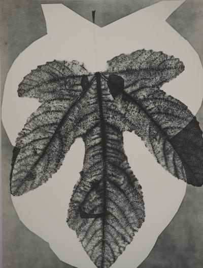 Pablo PICASSO : Diurnes, Midas, Phototypie originale 2