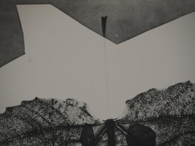 Pablo PICASSO : Diurnes, Midas, Phototypie originale 2