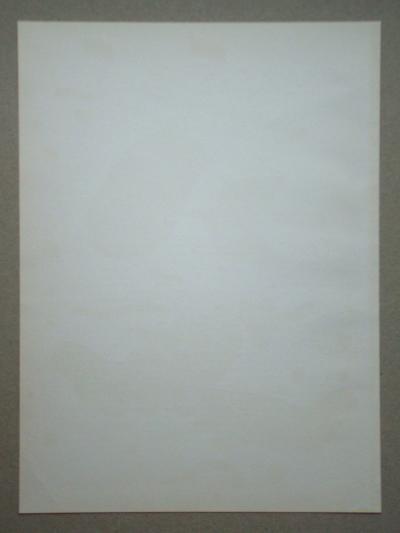 Georges BRAQUE - Carntes intimes de Georges Braque, 1955 - Original lithograph signed 2
