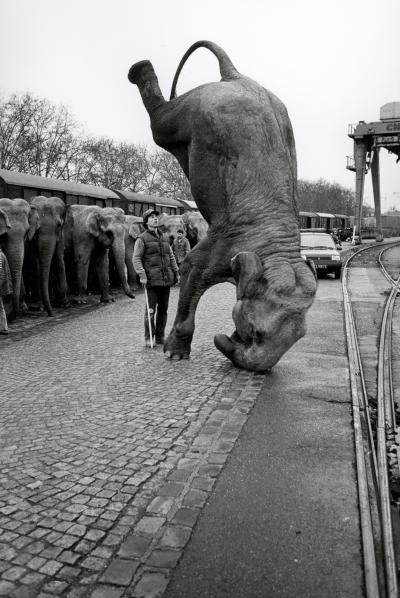 José Nicolas - Elephants sur la tête 1985 - Tirage argentique 2