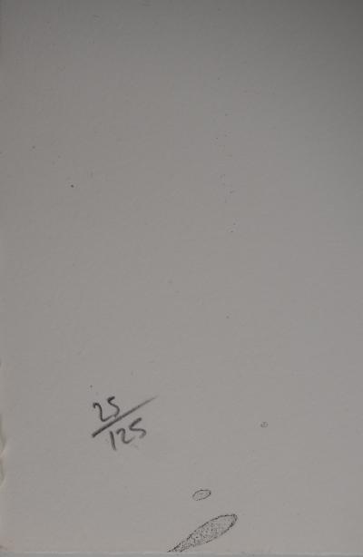 Jean MIOTTE : Composition polaire, Lithographie originale signée 2