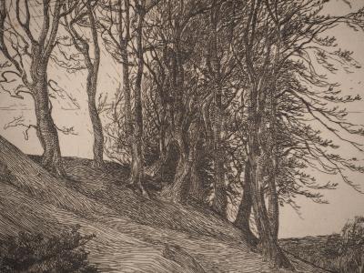 George HOWARD : La colline, Gravure originale signée 2
